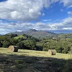 Mendiko-lorea Nyaraló